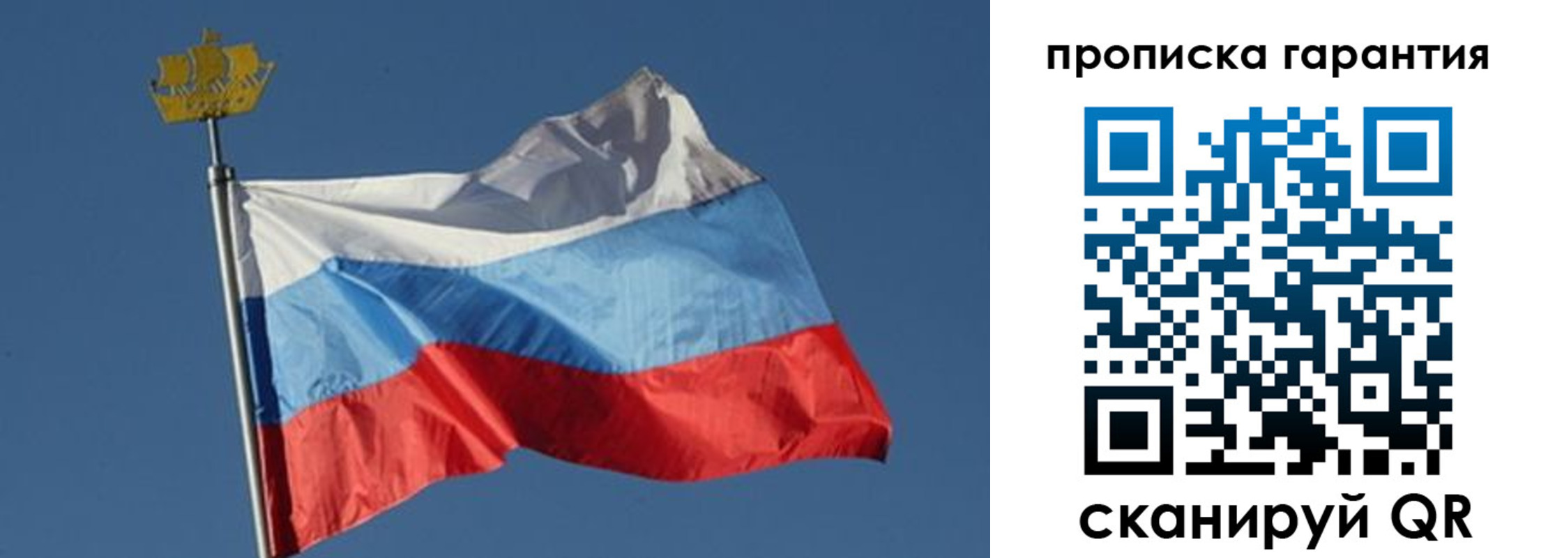 прописка для работы в Мытищах